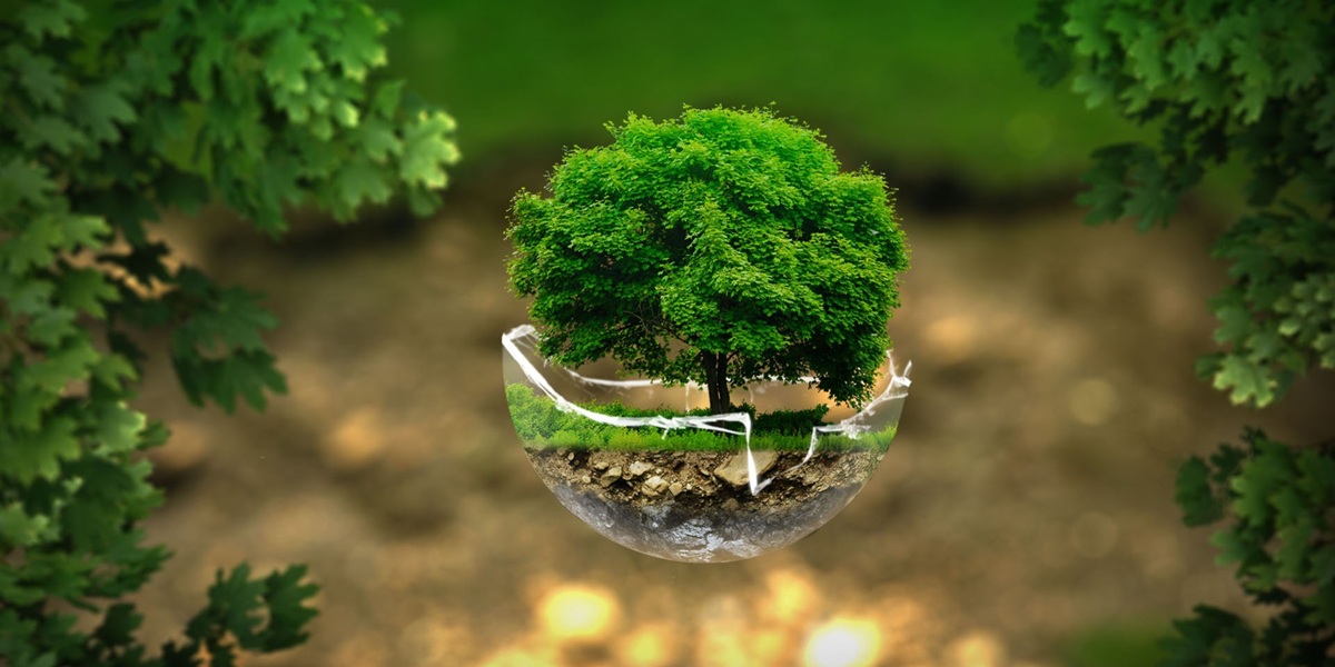 certificación iso 14001
